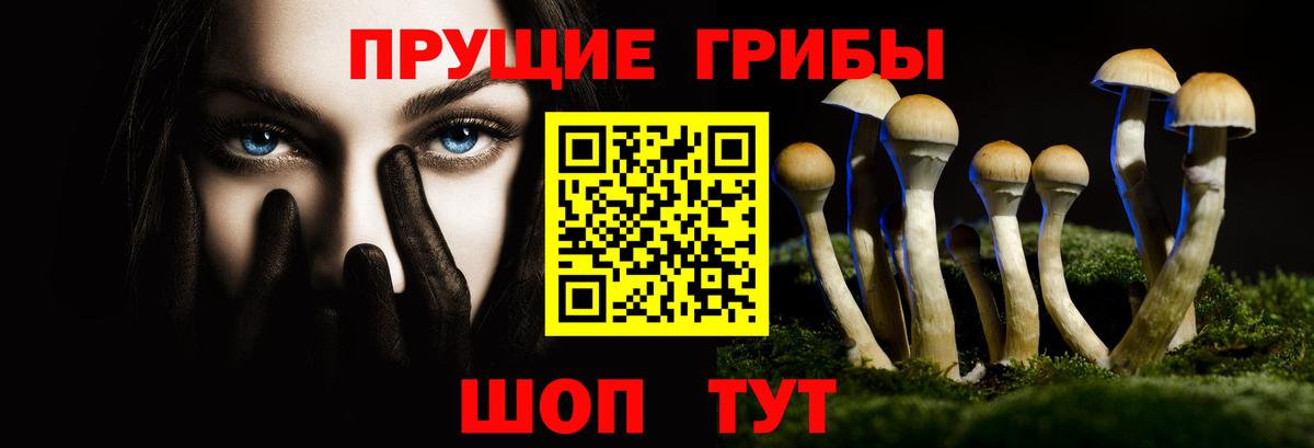 Галлюциногенные грибы Cubensis  Галлюциногенные грибы GOLDEN TEACHER  Белгород  Вход с VPN 